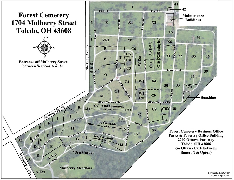 Forest map image